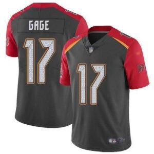 Nike Buccaneers #17 Russell Gage Gray Stitched NFL Limited Inverted Legend Jersey