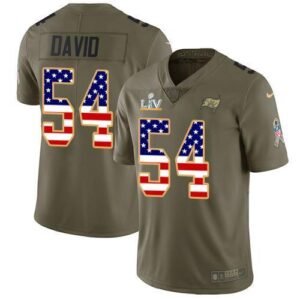 Nike Buccaneers #54 Lavonte David Olive/USA Flag Super Bowl LV Bound Stitched NFL Limited 2017 Salute To Service Jersey
