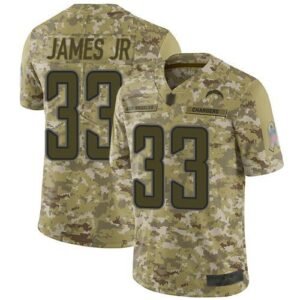 Nike Chargers #33 Derwin James Jr Camo Stitched NFL Limited 2018 Salute To Service Jersey