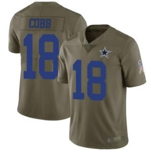 Nike Dallas Cowboys #18 Randall Cobb Olive Stitched NFL Limited 2017 Salute To Service Jersey