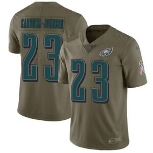 Philadelphia Eagles #23 C.J. Gardner-Johnson Olive Stitched NFL Limited 2017 Salute To Service Jersey