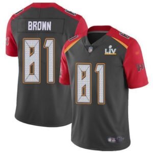 Nike Tampa Bay Buccaneers #81 Antonio Brown Gray Super Bowl LV Bound Stitched NFL Limited Inverted Legend Jersey