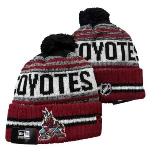 Arizona Coyotes Beanies Knit Hat